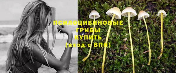 хмурый Покровск
