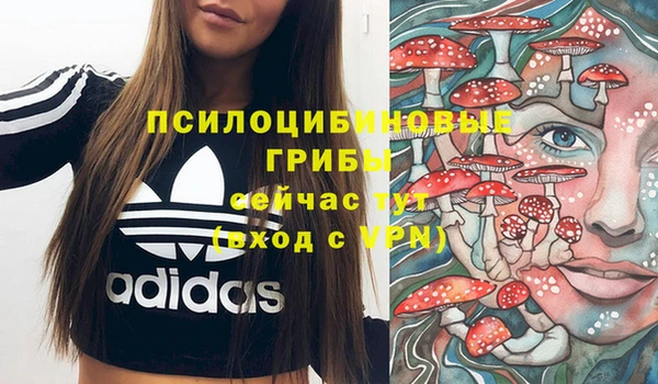 хмурый Покровск