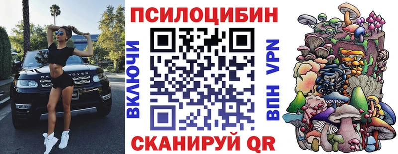 Галлюциногенные грибы Cubensis  Холм 